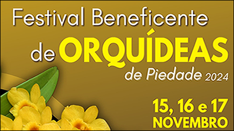 festival orquídeas